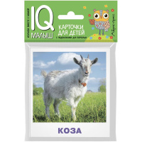 Карточки для детей с подсказками "Домашние животные" Ходюшина Н.П. 14стр. 978-5-8112-6503-9