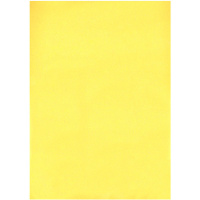 Обложка для переплета 10 листов А4 200мкм пластик желтый