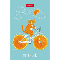 Блокнот А7 48л "Котик-апельсинка" клетка, склейка, 3-х цветный блок, 5 дизайнов 083526