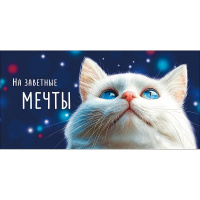 Конверт для денег "На заветные мечты" 167х83мм 0322.424