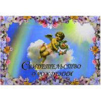 Обложка А5 "Свидетельство о рождении. Новый ангел" ламинированная СРЛ5-47н