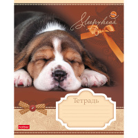 Тетрадь А5 12л клетка "Сони-Засони" на скобе 5 дизайнов 12Т5В1/046653