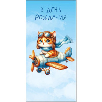 Конверт для денег "В День Рождения" 167х83мм 0322.407