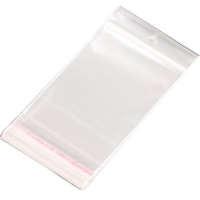 Пакет с клеевым клапаном 16х32см с европодвесом Y3947-16