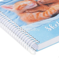 Скетчбук 17х17см 80л 120г/м2 "Пушистая радость" евроспираль, твердая обложка 087793 от магазина "Карандаш"