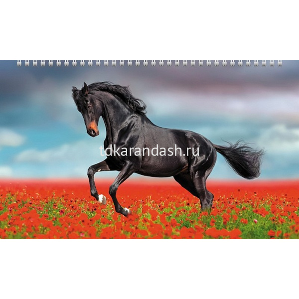 Календарь квартальный 2026 "Год Лошади" 320х840мм настенный трехблочный, с бегунком 5 постеров 09164 от магазина "Карандаш"