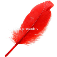 Набор перьев 10шт/уп., размер пера 17-19см, 10 цветов Y10855-24 от магазина "Карандаш"