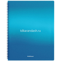 Папка 40 вкладышей "Matt Ice Metallic" А4 на спирали ассорти 49962 от магазина "Карандаш"