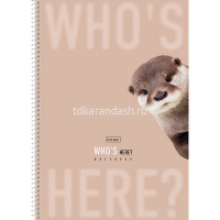 Тетрадь А4 96л клетка "Кто здесь?" на спирали, перфорация на отрыв, матовая ламинация 2 дизайна от магазина "Карандаш"