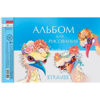Альбом для рисования А4 40л "Модные страусы" на спирали, перфорация на отрыв, 4 дизайна 085174 от магазина "Карандаш"