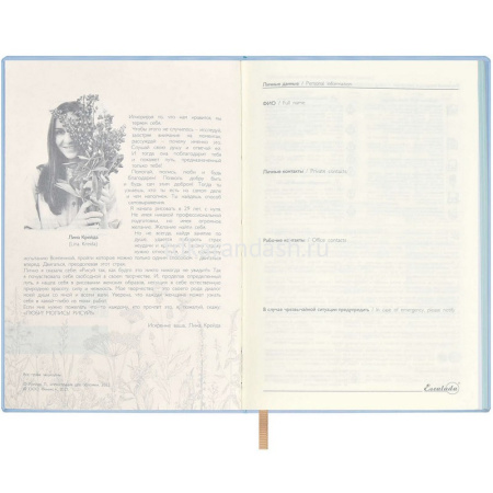 Ежедневник недатированный А5 "Escalada. Водопад" 240стр., искусственная кожа "Наппа" 64013 от магазина "Карандаш"