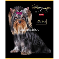 Тетрадь А5 48л клетка "Портрет лучшего друга" на скобе выборочный лак 5 дизайнов 080210 от магазина "Карандаш"