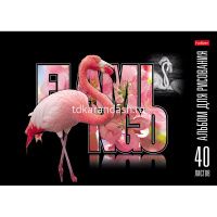 Альбом для рисования А4 40л "Птица Дивная" на скобе, матовая ламинация 3D лак 40А4лолВ/061423 от магазина "Карандаш"