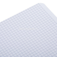 Тетрадь А4 96л клетка "Пределы нормы" на спирали, перфорация на отрыв, матовая ламинация 2 дизайна от магазина "Карандаш"