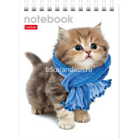 Блокнот А6 40л "Милые Котята" клетка на гребне 40Б6B1гр/004667 от магазина "Карандаш"