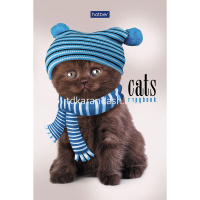 Блокнот А6 40л "Premium.Кототерапия" клетка, склейка, гляневая ламинация, 3 дизайна 057230 от магазина "Карандаш"