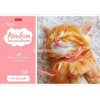 Альбом для рисования А4 20л "Котята" на скобе 5 дизайнов 20А4В/004023 от магазина "Карандаш"