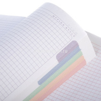 Бизнес-блокнот А5 80л клетка металлик золото, 5-цветный блок тиснение CROCO 7БЦ 084778 от магазина "Карандаш"