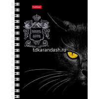 Записная книжка А6 80л "Royal Cats" клетка, на спирали, двойная твердая обложка, 3 дизайна 80ЗК6В1гр от магазина "Карандаш"
