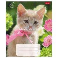 Тетрадь А5 12л клетка "Любимцы" на скобе 5 дизайнов 12Т5В1/033752 от магазина "Карандаш"