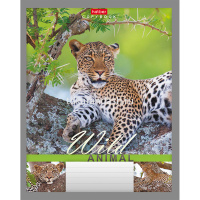 Тетрадь А5 24л линия "Мир животных" на скобе 24Т5B2/028380 от магазина "Карандаш"