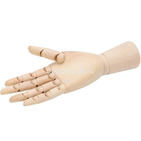 Рука высота 30см, правая, дерево Y10723-24 от магазина "Карандаш"