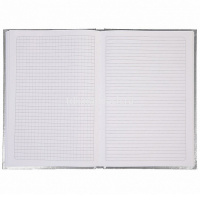 Бизнес-блокнот А5 80л "METALLIC. Серебро" клетка/линия 7БЦ тиснение 067475 от магазина "Карандаш"