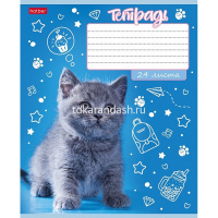 Тетрадь А5 24л линия "Ушки на макушке" на скобе тиснение 5 дизайнов 24Т5В2/080104 от магазина "Карандаш"