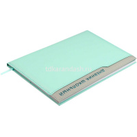 Дневник для 1-11 классов "Плонже мятный" твердая обложка, искусственная кожа с поролоном 68760 от магазина "Карандаш"