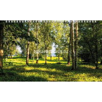 Календарь квартальный 2026 "Времена года" 320х840мм настенный трехблочный, с бегунком 5 постеров от магазина "Карандаш"