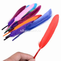 Набор перьев 10шт/уп., размер пера 11-15см, 10 цветов Y10854-24 от магазина "Карандаш"