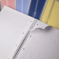 Тетрадь А4 80л клетка "NEWtone Pastel Soft-touch. Чернильное небо" на спирали многоуровн.перфорация от магазина "Карандаш"
