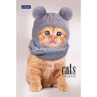 Блокнот А6 40л "Premium.Кототерапия" клетка, склейка, гляневая ламинация, 3 дизайна 057230 от магазина "Карандаш"