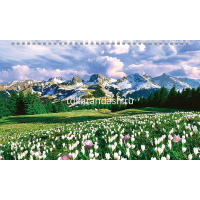 Календарь квартальный 2026 "Цветущие долины" 320х840мм настенный трехблочный, с бегунком 5 постеров от магазина "Карандаш"