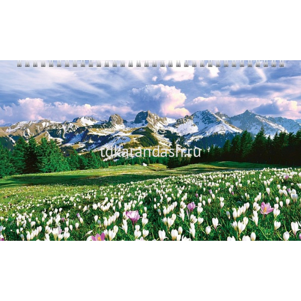 Календарь квартальный 2026 "Цветущие долины" 320х840мм настенный трехблочный, с бегунком 5 постеров от магазина "Карандаш"
