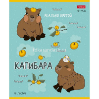 Тетрадь А5 48л клетка "Реально крутой Капибара" на скобе 5 дизайнов 48Т5В1/084659 от магазина "Карандаш"