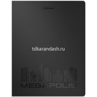 Папка с боковым пружинным скоросшивателем "Megapolis" А4 пластик 0,6мм с внут.карманом ассорти 50132 от магазина "Карандаш"