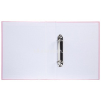 Папка 20 вкладышей "NEWtone. Pastel Пион" А4 20AV4_05018/061974 от магазина "Карандаш"