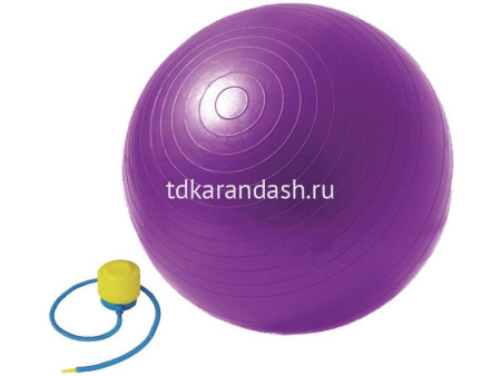 Мяч гимнастический 65см 900гр. PVC 4 цвета + насос Y1999-14