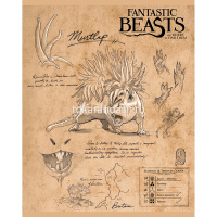 Тетрадь А5 48л клетка "Фантастические твари" на скобе матовая ламинация 5 дизайнов 48Т5лВ1/056233 от магазина "Карандаш"