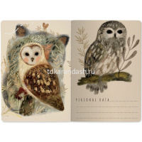 Тетрадь А5 40л клетка "Волшебные совы" прошитый блок матовая ламинация 7-40-001/147 от магазина "Карандаш"