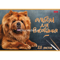 Альбом для рисования А4 20л "Наши верные друзья" на скобе тиснение 5 дизайнов 079718 от магазина "Карандаш"