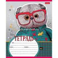 Тетрадь А5 12л клетка "Кот Басик" на скобе 5 дизайнов 12Т5В1/068812 от магазина "Карандаш"