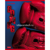 Тетрадь А5 48л клетка "Sport Club" на скобе 5 дизайнов 48Т5В1/048541 от магазина "Карандаш"