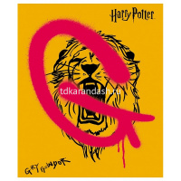 Тетрадь А5 48л клетка "Гарри Поттер" на скобе 5 дизайнов 48Т5В1/079240 от магазина "Карандаш"