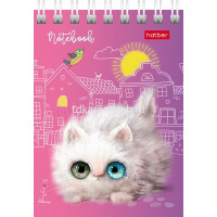 Блокнот А7 40л "Кошарики" клетка, на спирали, 6 дизайнов 076975 от магазина "Карандаш"