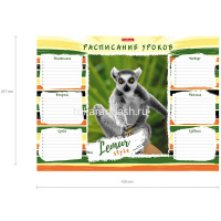 Расписание уроков А3 "Lemur Style" 49716 от магазина "Карандаш"