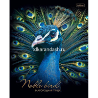 Тетрадь А5 48л клетка "Благородные птицы" на скобе 3D фольга матовая ламинация 5 дизайнов 085232 от магазина "Карандаш"
