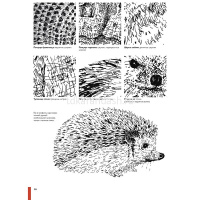 Книга "Рисуем животных ручками и маркерами: 26 реалистичных проектов" Миллер Д.Р. 128стр. 978-5-0014 от магазина "Карандаш"