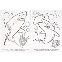 Раскраска "Подводный мир" 16 стр. 9785506097853 от магазина "Карандаш"